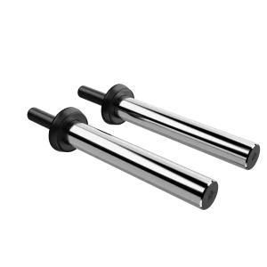 Support pour Plaques de Poids Olympique Phénix