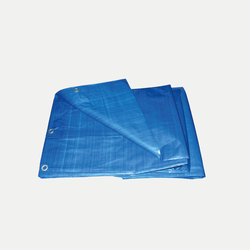 BACHE BLEUE- toutes tailles