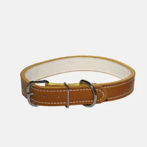 COLLIER CHIEN CUIR 61CM