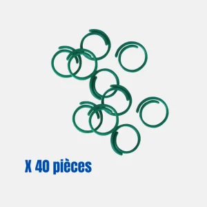 ATTACHE PLANTE BAGUE 3.2CM – VERT