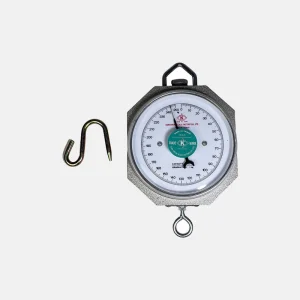 BALANCE SUSPENDUE 250KG