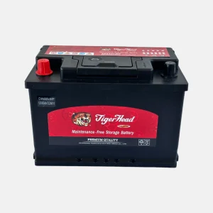 BATTERIE TIGER 80AH+G0