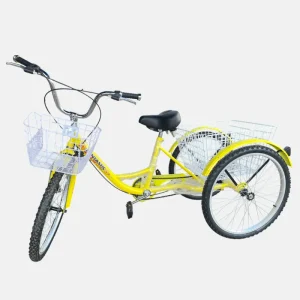 VELO 3 ROUES 24&prime;